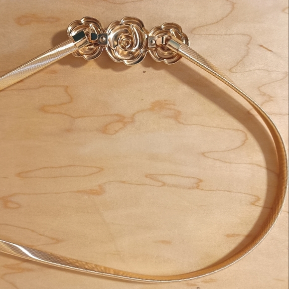 Elegant Golden Women's Belt, 28" long - Picture 6 of 11